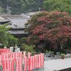 大光寺さんの百日紅＆新宿の街！
