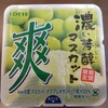 爽　濃い芳醇マスカット味