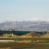 雪囲い2012