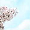 3月ポイント&投資まとめ