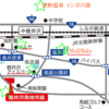 軽井沢野菜もおいしいよ。晩秋の紅葉、霧の軽井沢駅から日常へ