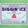 Diggin'Ice2015