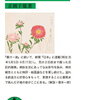 脊柱菅狭窄症開窓術 手術傷 クソ痛い