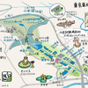 東京最大の水郷（水元公園 小合溜）