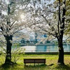 京浜運河緑道公園の特等席