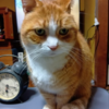 退院してから二か月目