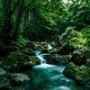 さわやかな涼しさをお届けしま～す♪　（タイトルに偽りあり）