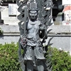 今治市の54番札所「延命寺」とツブラジイ