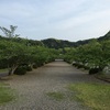 安房神社  2016.05.02