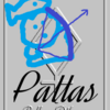 射手座「12ハウス」小惑星パラス　Pallas