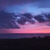 食べて 祈って 恋をして♡バリ島の神秘と祈りの効果