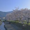 sakeの歩窓から（桜と富士山）