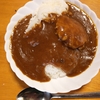 【ネットで大人気!?】日本食研の食研カレー食べてみた【B級グルメ??】