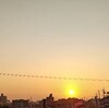 とっとこかぶ太郎『プロローグ』