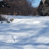 大自然を満喫しながら歩く道 (その４)