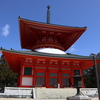 高野山金剛峰寺（高野町）