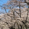 大分県から福岡県の旅 アマネリゾートガハマ②