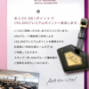 ANA 15万PP「特別仕様ネームタグ」