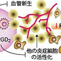 生理活性とは サイエンスの人気 最新記事を集めました はてな