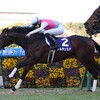 12.18(日)　競馬　朝日杯フューチュリティステークスとか