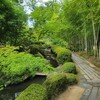 【京都】八幡市、『松花堂庭園・美術館』　青もみじ