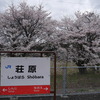荘原駅も桜満開。（旅するニッポン、春たけなわ；その15）