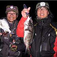 クロダイとは 動植物の人気 最新記事を集めました はてな クロダイとは 動植物の人気 最新記事を集めました はてな