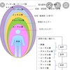 脳波と金縛り