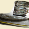 わらしべ長者的に大きな魚をいただいた話