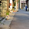 ネコと路地とビール！北千住駅東口を散歩してきました