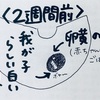 我が子、ドラえもんに進化！！！９週６日の定期検診。