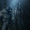 ミステリアスな7フィートのクリーチャーは森の中で死んでいた。それは狼人間なのか