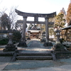 嵐山瀧神社の境内にまつられる庚申塔　大分県玖珠郡玖珠町山浦