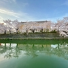 桜の備忘録　-琵琶湖疏水の桜-