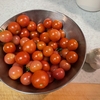 プチトマトのマリネ