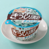 俺達の夏がやってきた、今年もチョコミントアイスの夏がやってきた