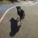 徒然