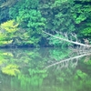 “ ぶらり自然観察人 ”  　北総の里山　　晩夏へ！　（ パート６ ）