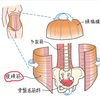 呼吸で姿勢が変わるワケ