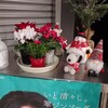 豊洲市場６街区『小田保』『センリ軒』。(2024.12.14土)