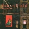 building/SENSE FIELD(CD)