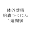 【不妊治療】胎嚢確認から1週間後の診察