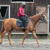 続いて、シルク２歳馬近況