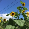 草木湖、不動滝、美しい田舎風景