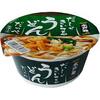 サタプラ カップうどん ひたすら試してランキング 