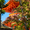 和歌山県の紅葉スポット。紅葉まじかの高野山へソロツーリング。