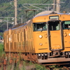 JR西日本　115系　岡山のA編成&D編成