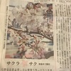 桜が咲いたよ！