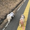 気がつけば3月1日