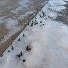 春の到来？